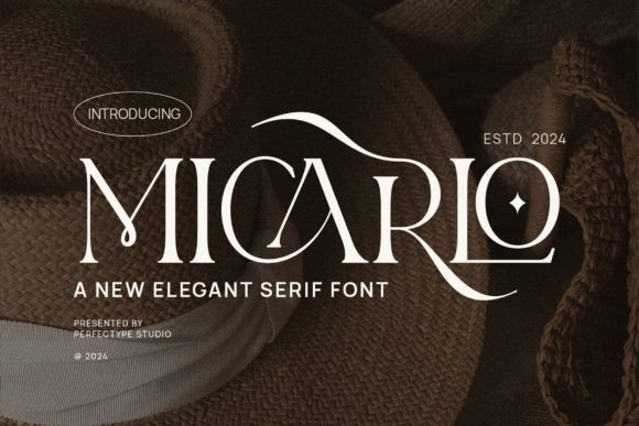 Timeless Appeal: How Micarlo Elevates Modern Branding